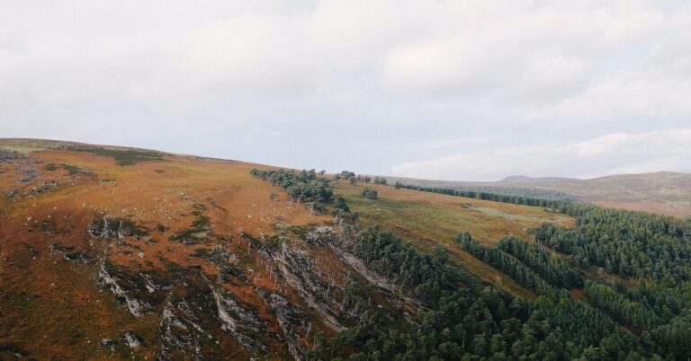 weep Irish: Idiom Meaning and Origin