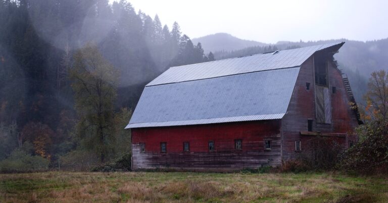 smell the barn: Idiom Meaning and Origin