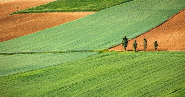 reap the harvest: Idiom Meaning and Origin