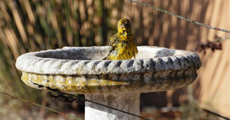 miner’s canary: Idiom Meaning and Origin