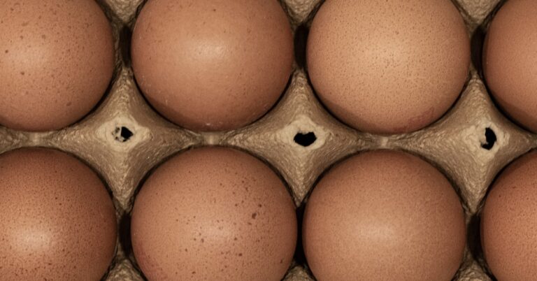 price of eggs: Idiom Meaning and Origin