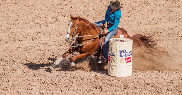 get back on the horse that bucked one: Idiom Meaning and Origin