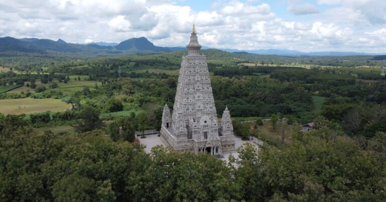 shake the pagoda tree: Idiom Meaning and Origin